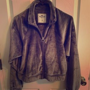 Hollister Zip Crop Jacket